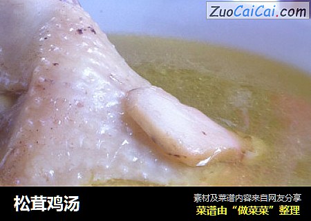 松茸鸡汤