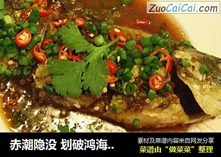 赤潮隐没 划破鸿海 鲫尽幽潭 说白了就是红烧鲫鱼，哈哈！