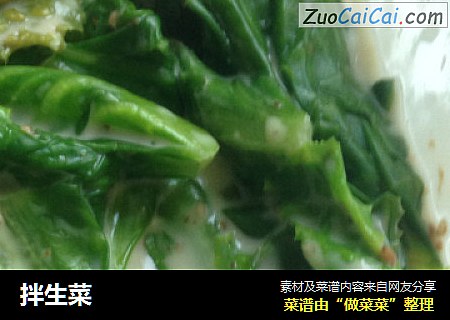 拌生菜