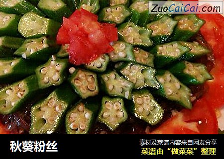 秋葵粉丝