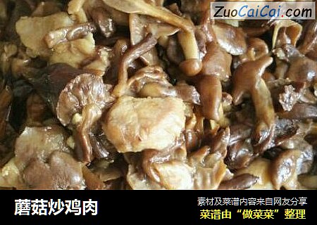 蘑菇炒鸡肉