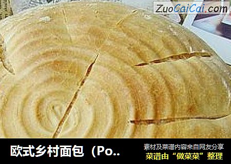 欧式乡村面包（Poolish种）
