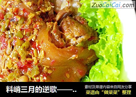 料峭三月的逆歌——酸辣肘子