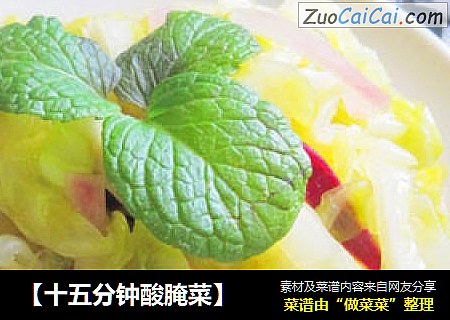 【十五分钟酸腌菜】