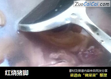 红烧猪脚