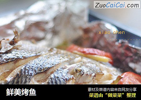 鲜美烤鱼
