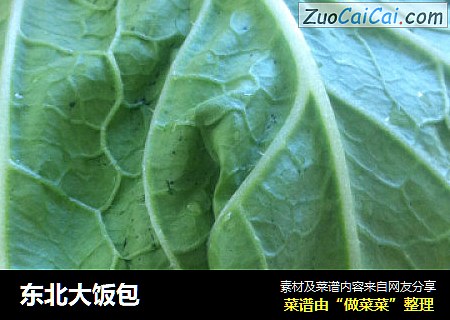 东北大饭包