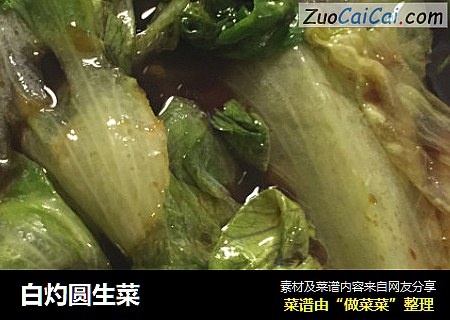 白灼圆生菜