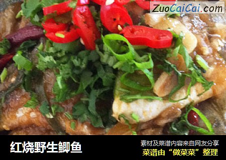 红烧野生鲫鱼