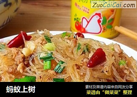 蚂蚁上树