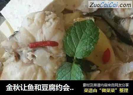 金秋让鱼和豆腐约会吧【汤鲜味美的丑鱼炖豆腐】
