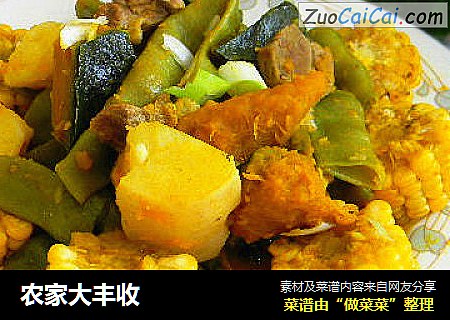 农家大丰收