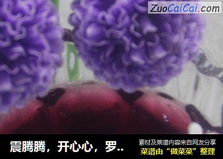 震腾腾，开心心，罗拔臣