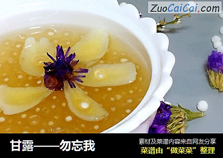 甘露——勿忘我