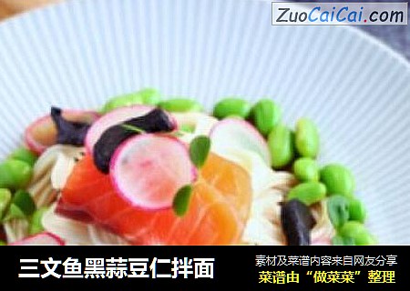 三文鱼黑蒜豆仁拌面
