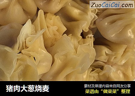 猪肉大葱烧麦