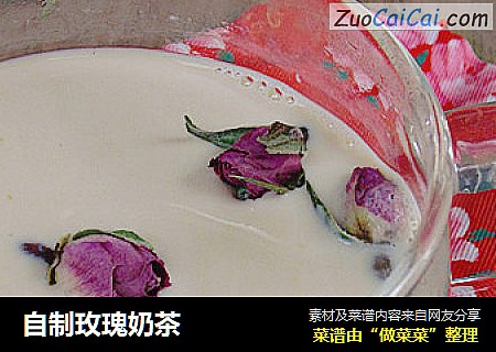 自制玫瑰奶茶