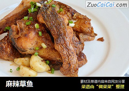 麻辣草鱼