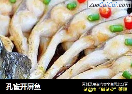 孔雀开屏鱼