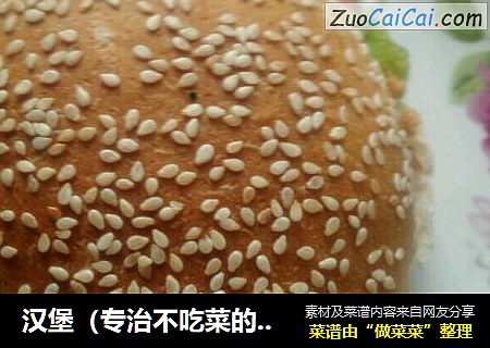 汉堡（专治不吃菜的熊孩子）