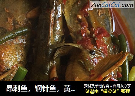 昂刺鱼，钢针鱼，黄蜂鱼!美食自己做。私家吃法·