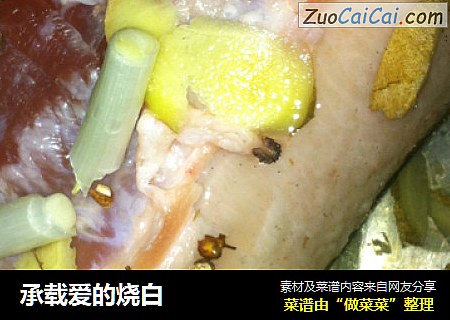 承载爱的烧白