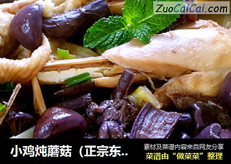 小鸡炖蘑菇（正宗东北版）