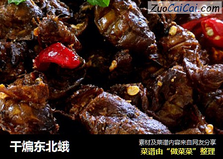 干煸东北蛾