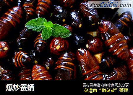 爆炒蚕蛹