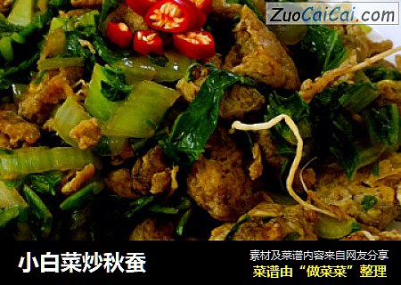 小白菜炒秋蚕