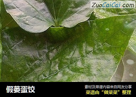 假蒌蛋饺