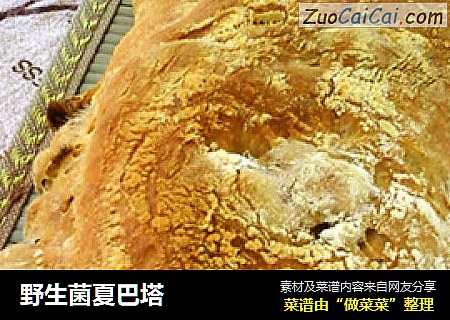 野生菌夏巴塔