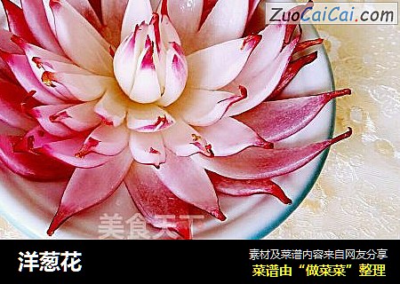 洋葱花