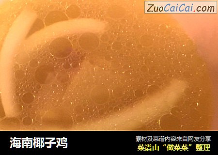 海南椰子鸡