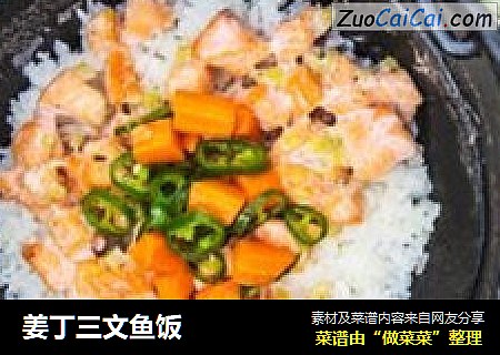 姜丁三文鱼饭