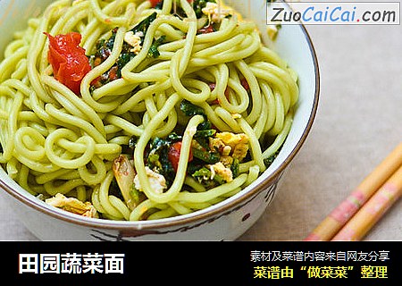 田园蔬菜面