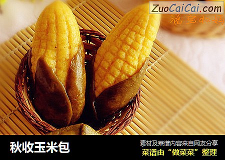 秋收玉米包