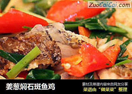 姜葱焖石斑鱼鸡