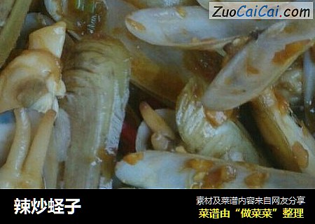 辣炒蛏子