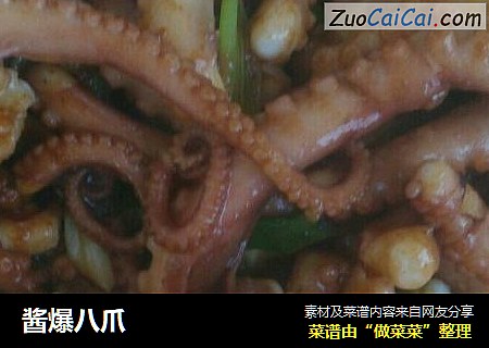 酱爆八爪