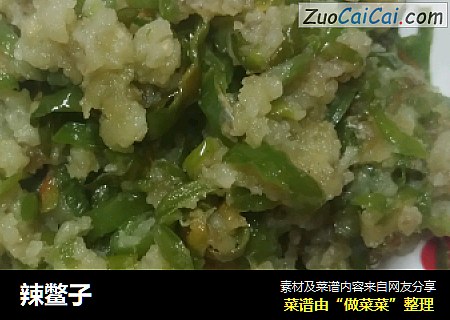 辣鳖子