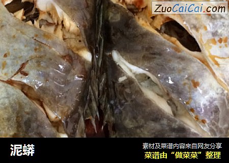 泥蟒