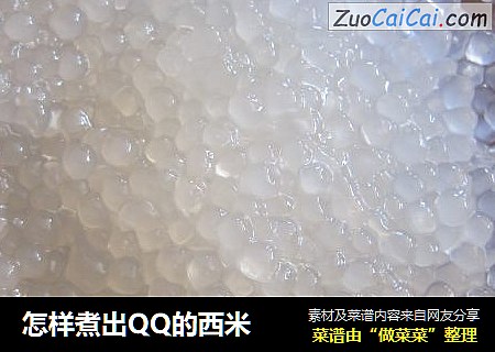 怎样煮出QQ的西米
