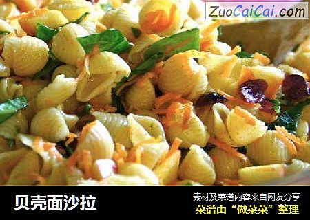 贝壳面沙拉