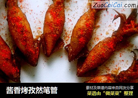 酱香烤孜然笔管