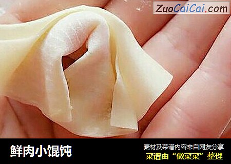 鲜肉小馄饨
