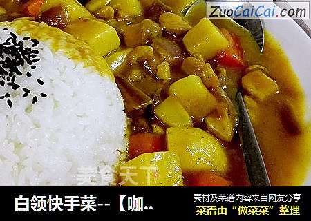 白领快手菜--【咖喱鸡肉】