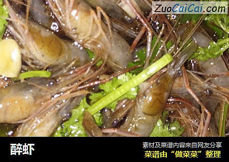 醉虾