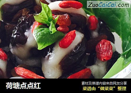 荷塘点点红