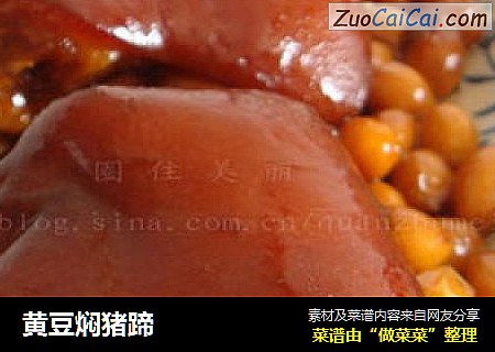 黄豆焖猪蹄